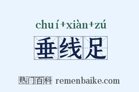 垂线足是什么意思的图片
